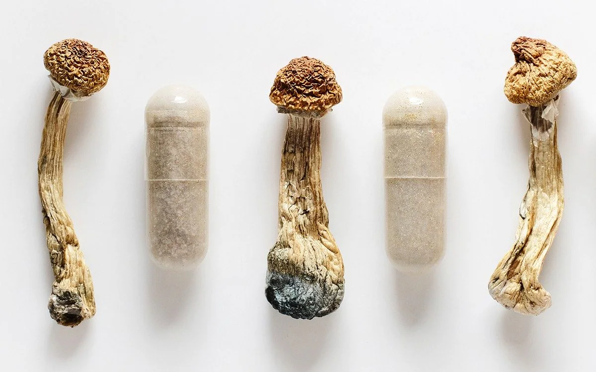 buy shrooms online