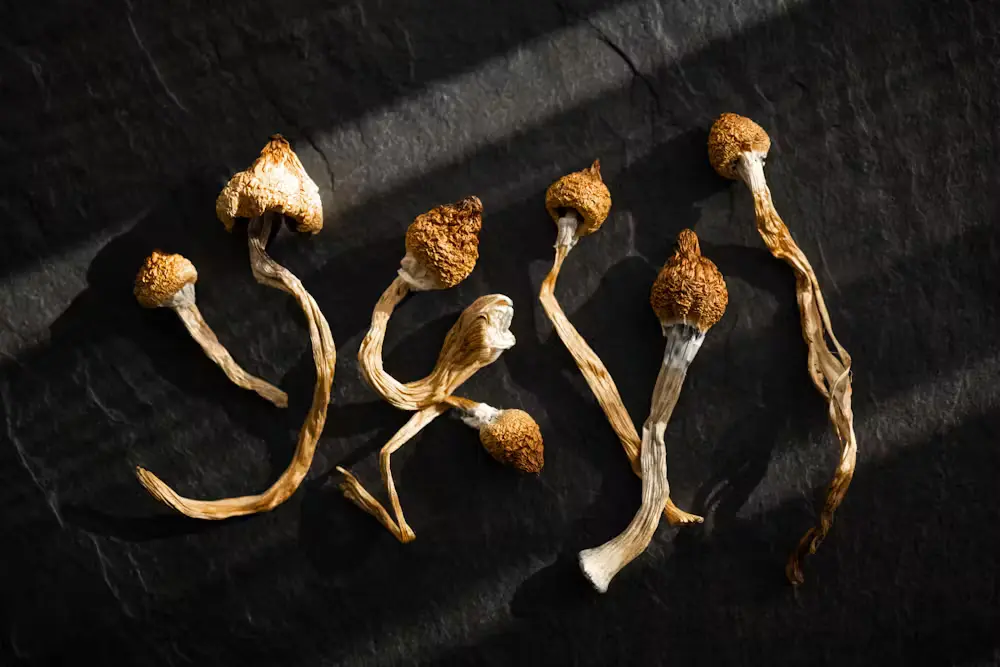 buy shrooms online